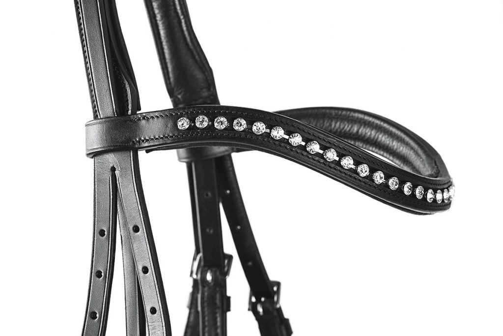 Close-up of black and white horse bridle.